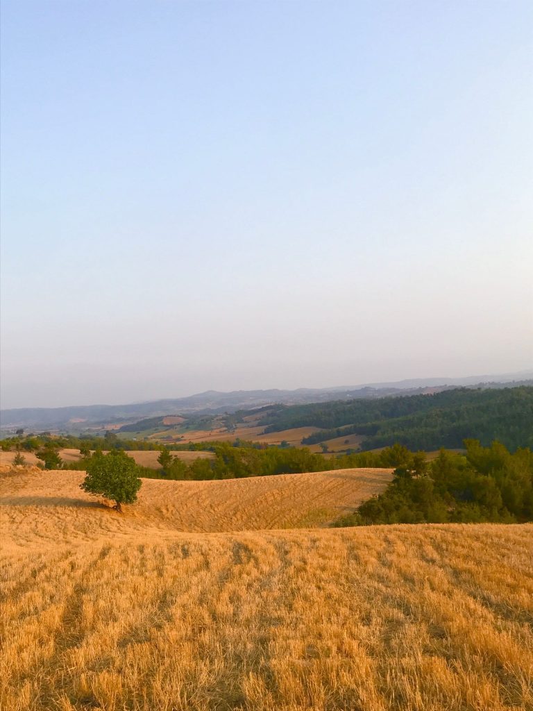 campagna