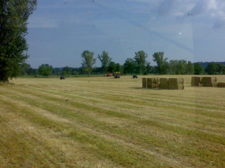 campi-coltivati-azienda-agricola-cavalieri